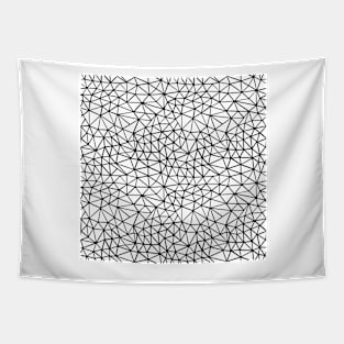 Shattered White Tapestry