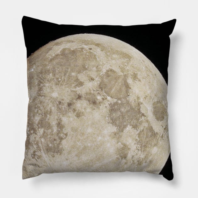 Full moon Pillow by RobertsArt