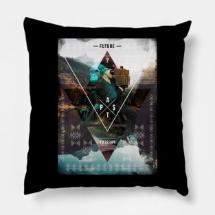 IN TIME & SPACE Pillow