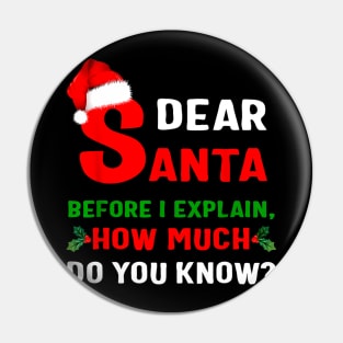 Funny Xmas Dear Santa Before I Explain How Much Do You Know Pin