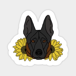 Red Sable Shepherd/Malinois with Sunflowers Magnet