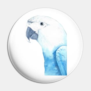 Spix&#39;s macaw watercolor portrait Pin