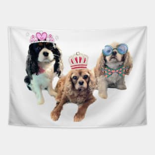 The 3 amigos, bff cavaliers Tapestry