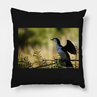 Little Pied Cormorant Pillow