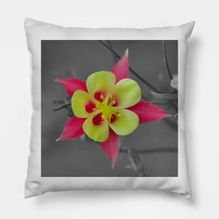 Vibrant Colorado Red and Yellow Columbine Pillow