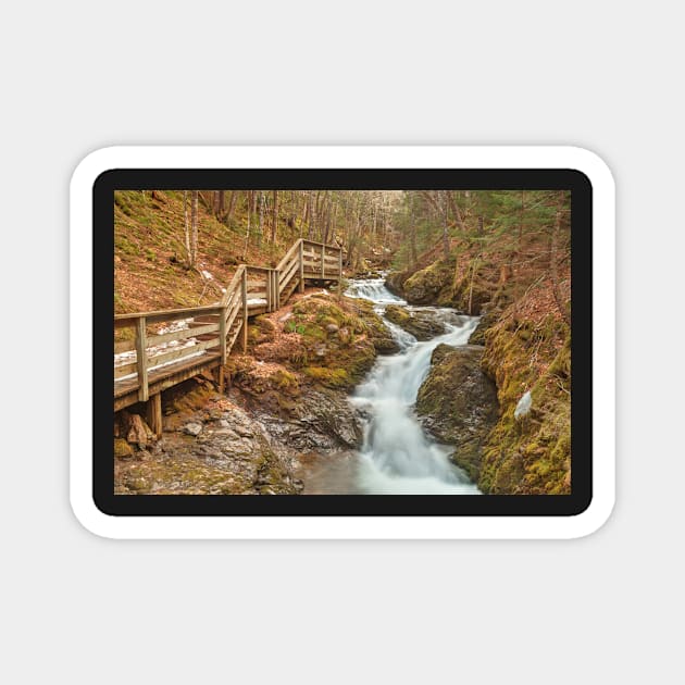 Centipede Step Falls Magnet by somadjinn