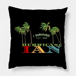 Hurricane Ian Pillow