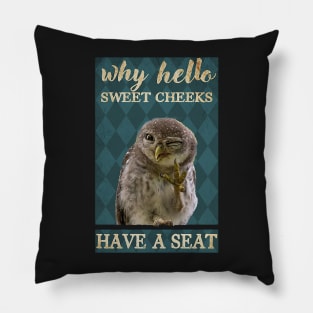 Owl Sweet cheeks have a seat Pillow