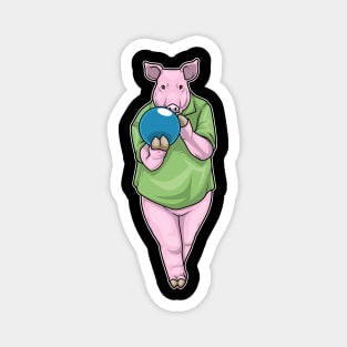 Pig Bowling Bowling ball Magnet