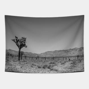 Joshua Tree Landscape Photo V4 Tapestry