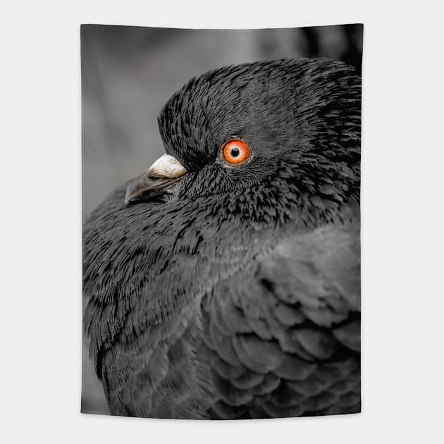 Feather Noir. Black and White Pigeon Photograph Tapestry by love-fi