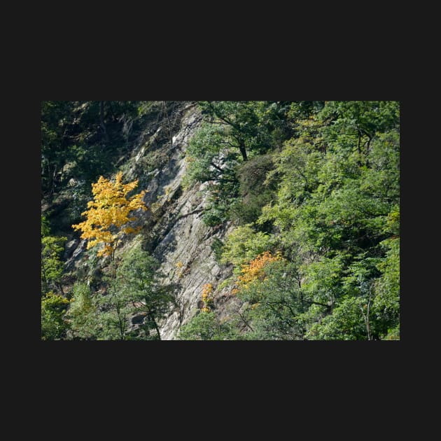 Bodetal, rock, cliff, cliff, Thale, Harz, Germany, autumn by Kruegerfoto