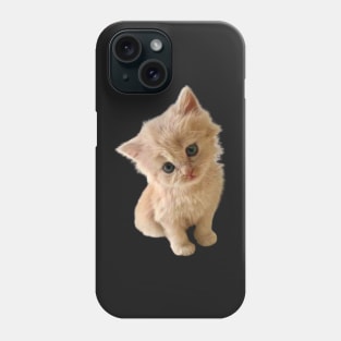 Cute kitten leaning for a kiss Phone Case