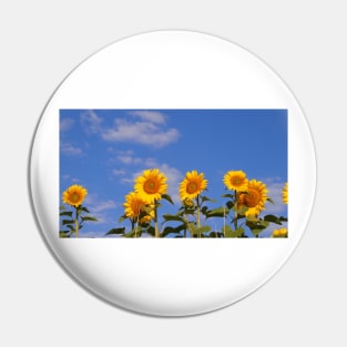 Sunflower days Pin