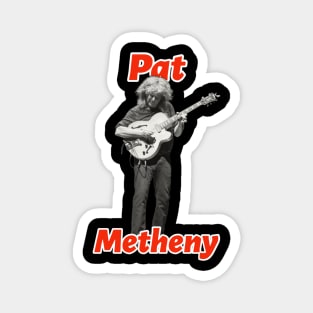 Pat Metheny Magnet