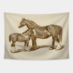 Mare and Foal. Brown Horse Illustration Tapestry