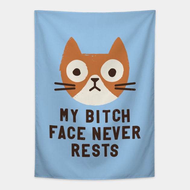 Why the Wrong Face? (cat version) Tapestry by David Olenick