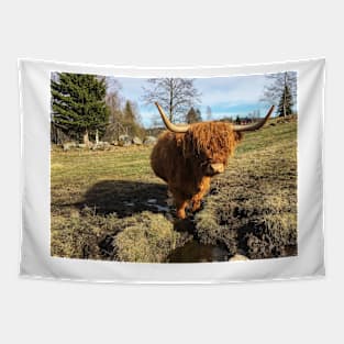 Scottish Highland Cattle Cow 2376 Tapestry