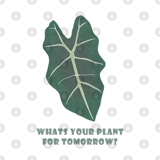 What is your plant for tomorrow? by Travel Theory