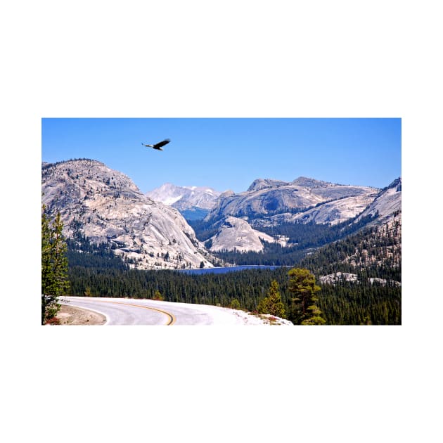 Tenaya Lake Yosemite Park by Burtney