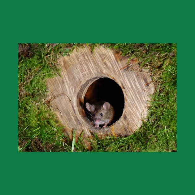 Mouse in a mossey hole by Simon-dell