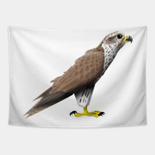 Falcon Tapestry