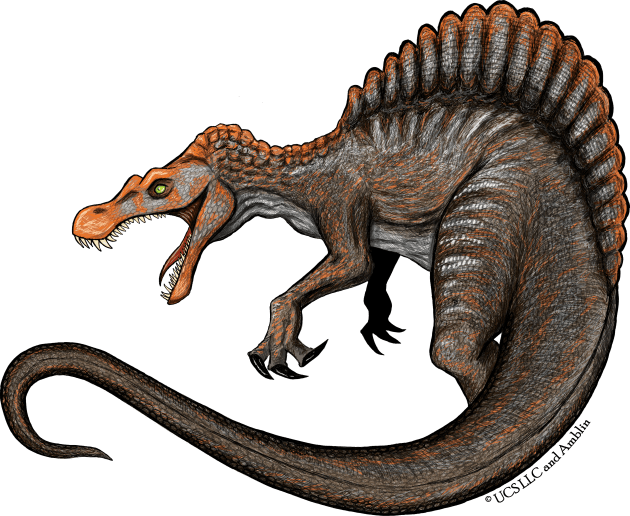 Spinosaurus Kids T-Shirt by adamtyberius