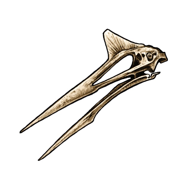 Quetzalcoatlus Pterosaur Skull by CassWArt