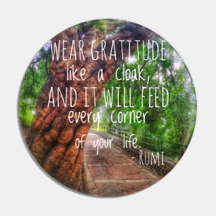 Wear gratitude like a cloak and it will feed every corner of your life Pin