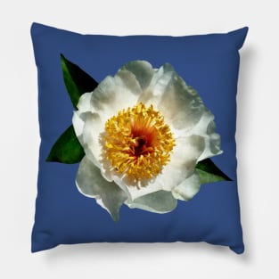 White Poppies in Sunshine Pillow