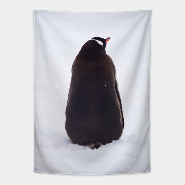 BACKSIDE OF A PENGUIN Tapestry by NATURE WILD