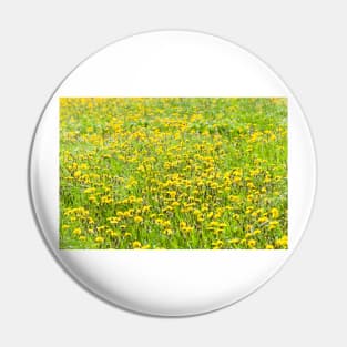 Dandelions Pin