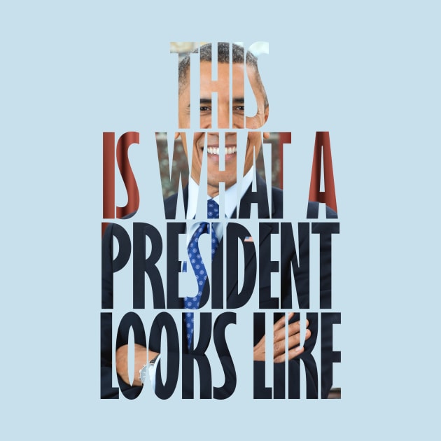 Obama - This is what a President looks like by DWFinn