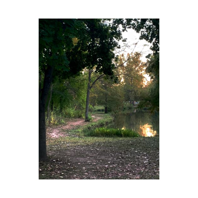 Beautiful Trail Scene with a Pond - Tomahawk Creek Pond Overland Park KS by Zen Goat 