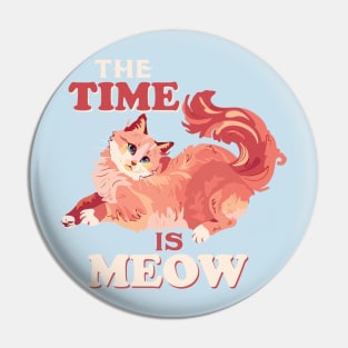 Funny Cat Quote Cute Kitty Lover : The Time Is Meow Sarcastic Cats Lovers Kitten Gift Pin