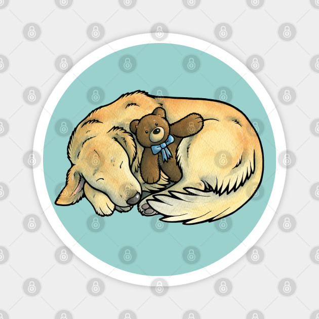 Sleeping Golden Retriever Golden Retriever Magnet Teepublic