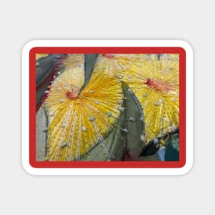 Sunshine Yellow Gum Flowers Magnet