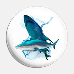 Sharks swimming together The Blue Shark Pin