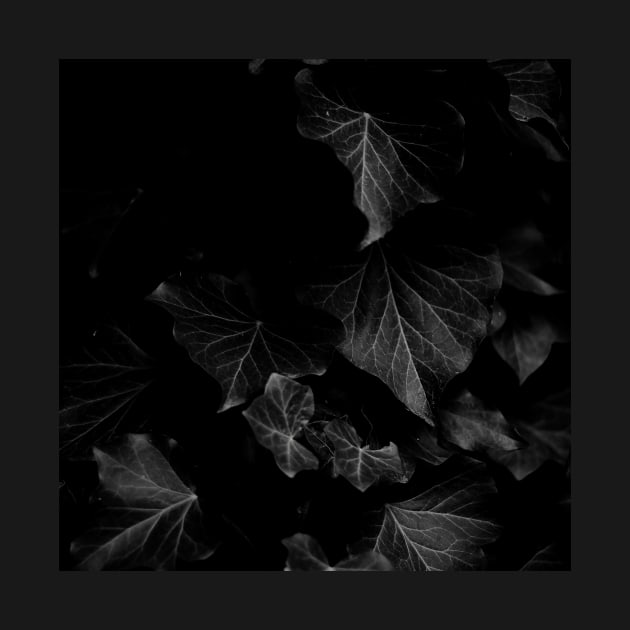 Black Leaves by Nature-Arts