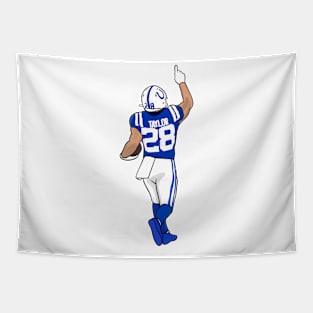 taylor and touchdown celebration Tapestry