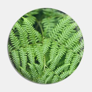 Ferns Pin