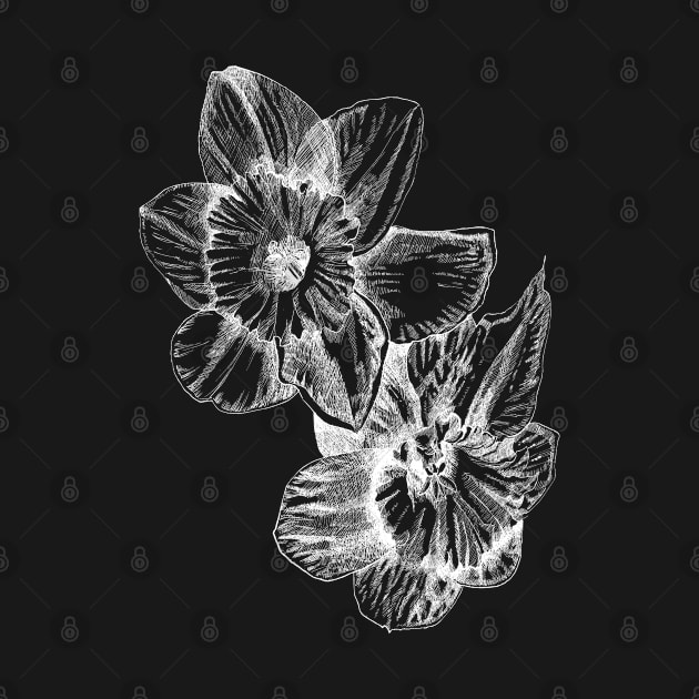 Ink - Daffodil Variation 2 by artofsuff