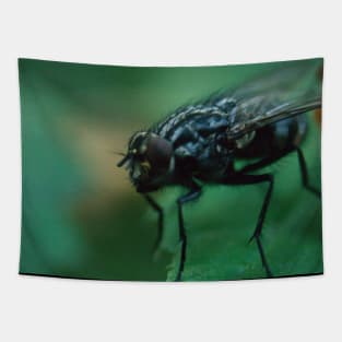 Fly With Bristles Tapestry