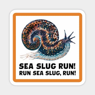 Still more fun with Sea Slugs Magnet