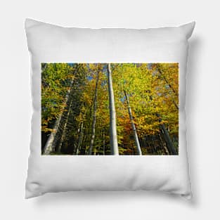 color trees Pillow