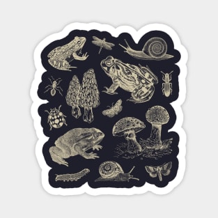 Goblincore Vintage Nature, Frogs, Snails, Moths, and Mushrooms Magnet