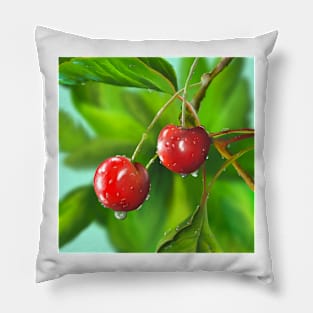 Cherry Painting Pillow