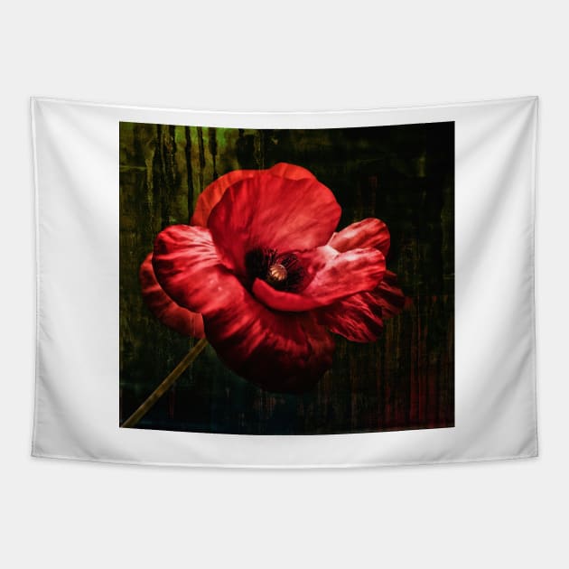 Poppy Flower Tapestry by JimDeFazioPhotography