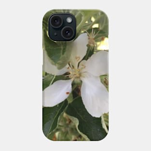 Apple Blossom (white) Phone Case