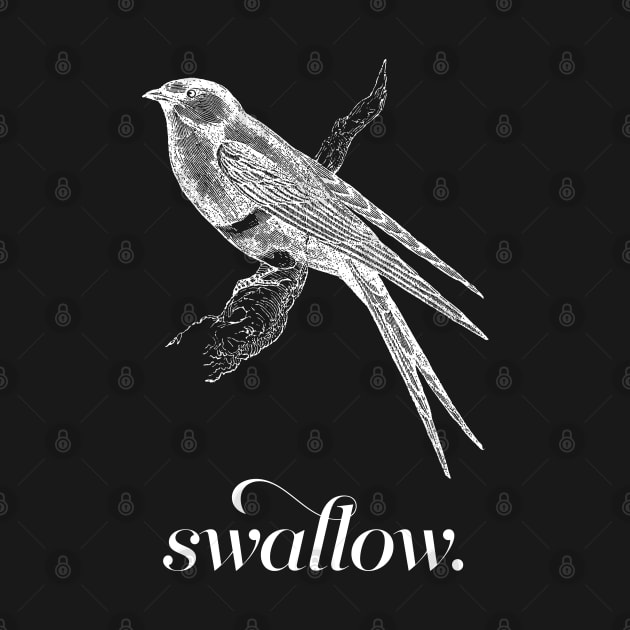 Swallow Bird by DankFutura